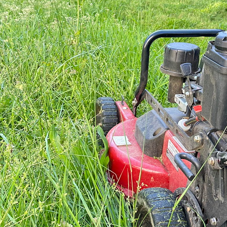 How Often Should You Mow Your Lawn in Mount Holly?