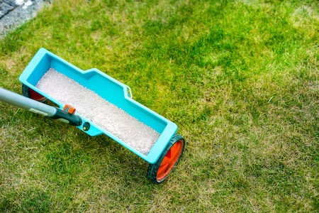 Lawn Fertilization Schedules That Actually Work in Gaston County
