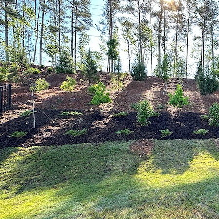 How Often Should You Fertilize in Mount Holly? A Seasonal Schedule That Works
